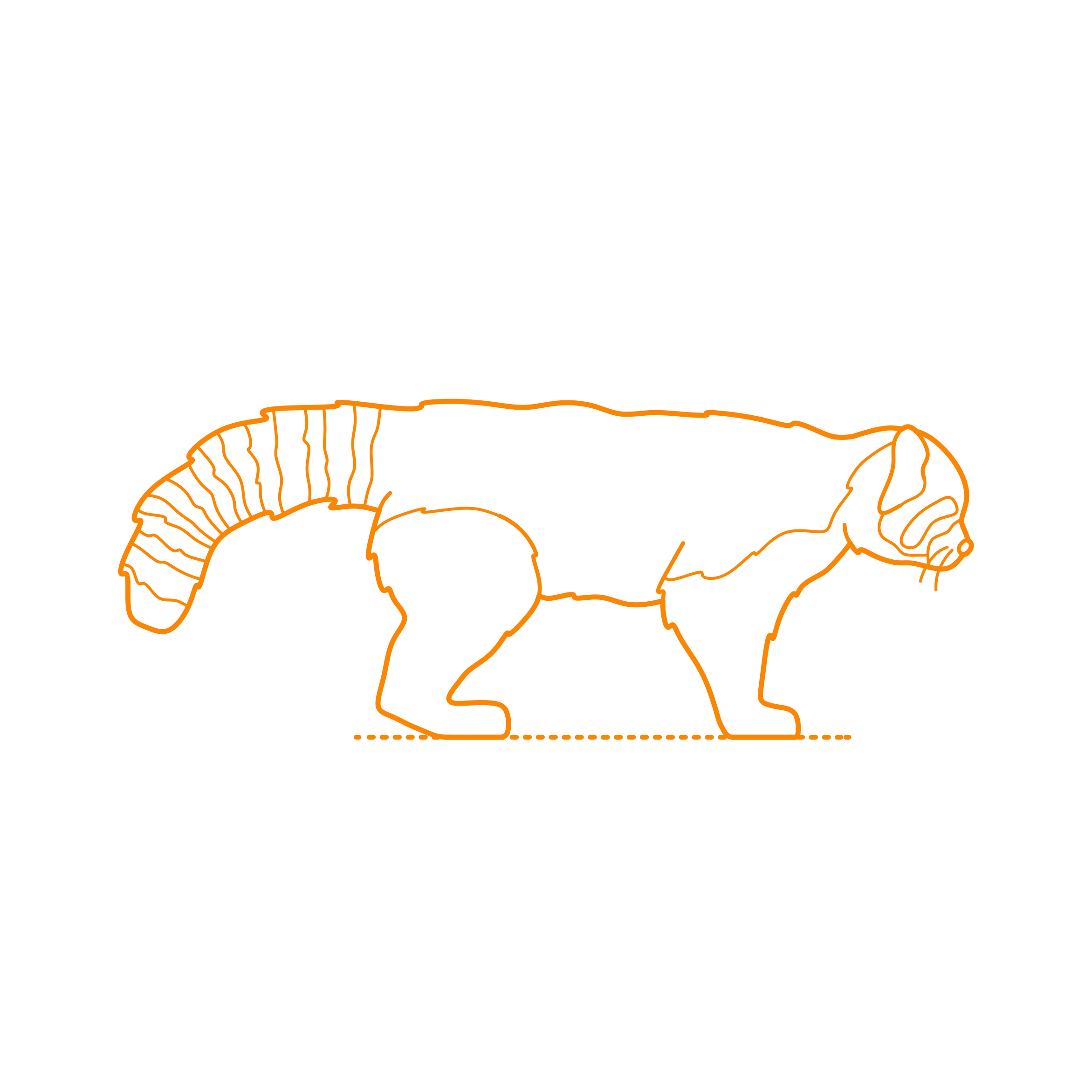 Animals Mustelids Red Panda Stencil Svg Design File Free Vectors